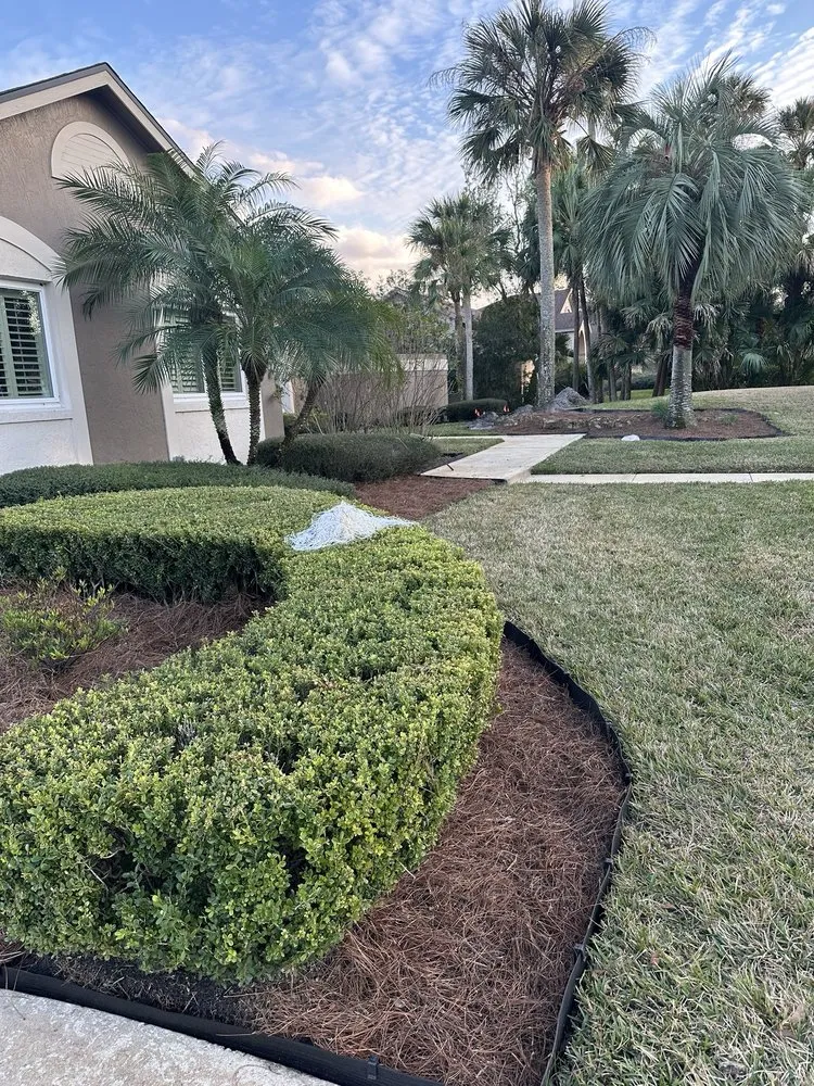 Top-rated landscaping services experts serving Oviedo, FL - Mulch For You