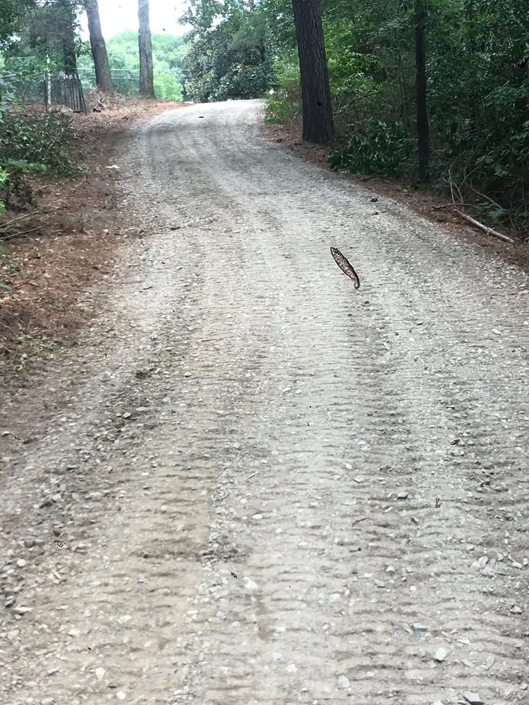 Professional residential landscaping experts serving Cartersville, GA - Mulch Gravel TopSoil Delivery