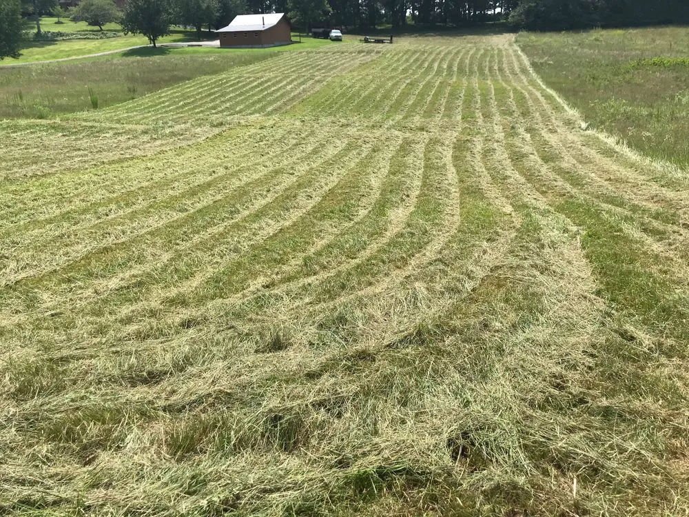 Professional yard maintenance in Cartersville, GA by Mulch Gravel TopSoil Delivery