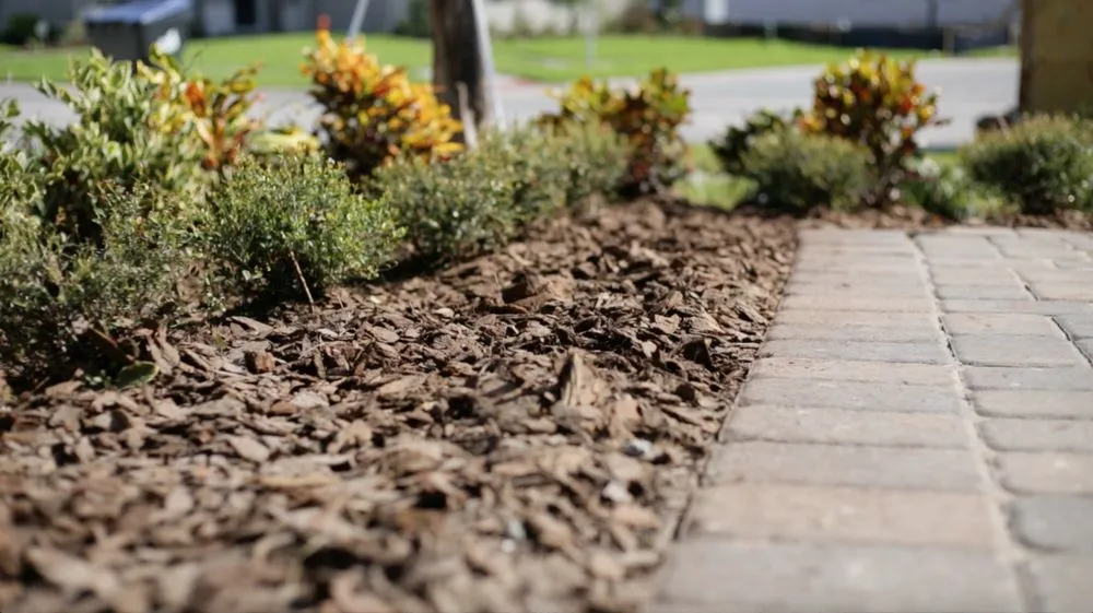 Expert yard maintenance in Orlando, FL - Mulch Inc.