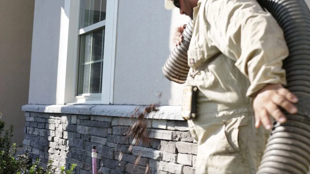 Expert yard cleanup service for year-round maintenance across Orlando, FL - Mulch Inc.