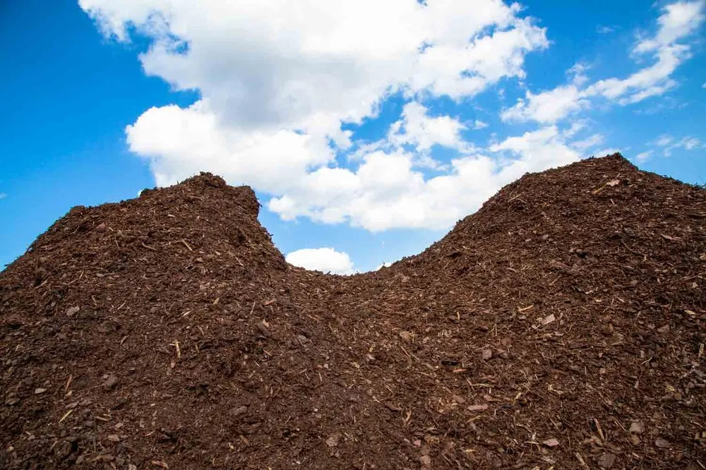 Local garden landscaping in Orlando, FL - Mulch Inc.