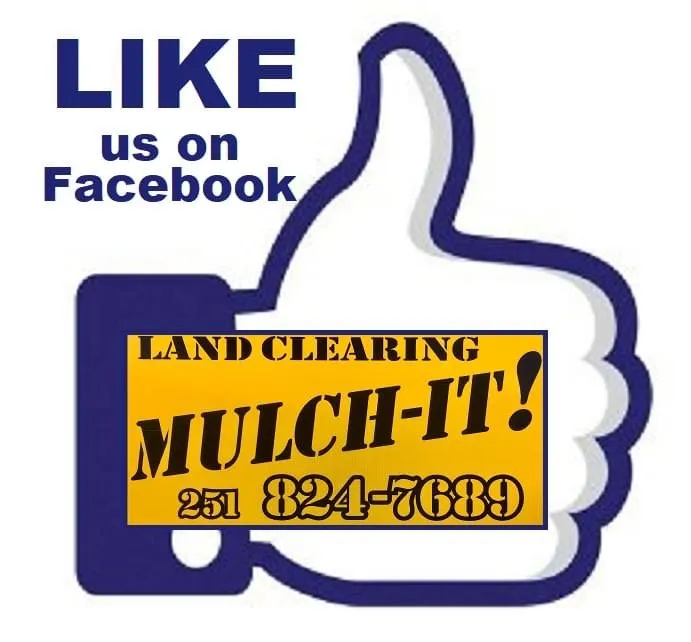 Expert yard maintenance for beautiful yards across Irvington, AL - Mulch It