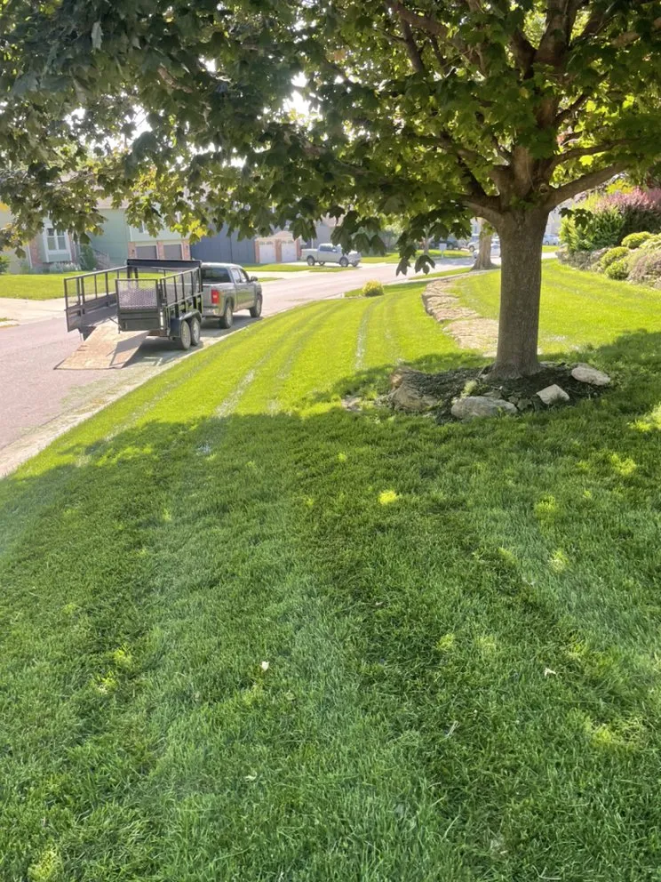 Top-rated landscaping services in Lee's Summit, MO by MULCH KC