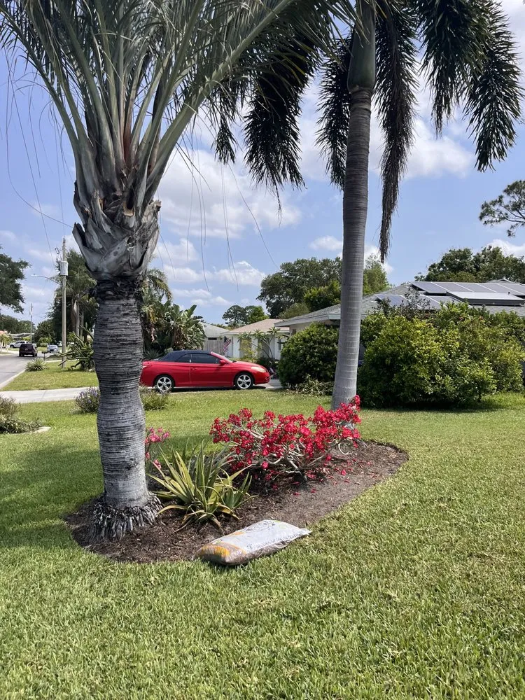Expert yard maintenance near you across Sarasota, FL - Mulch Kings