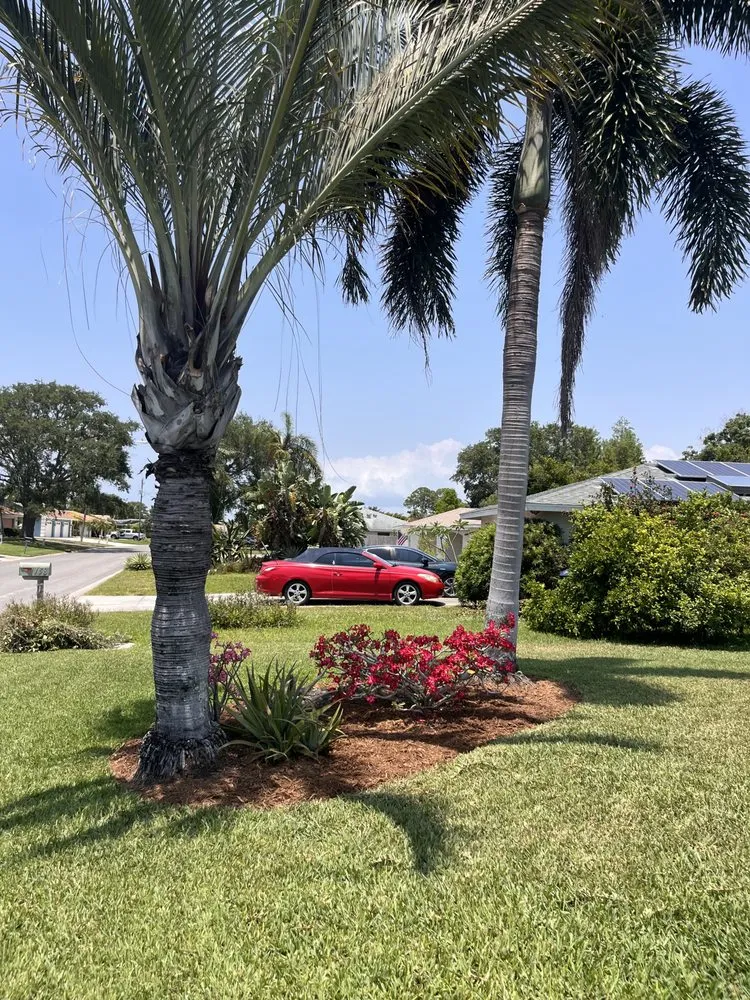 Local landscape design with custom design across Sarasota, FL - Mulch Kings