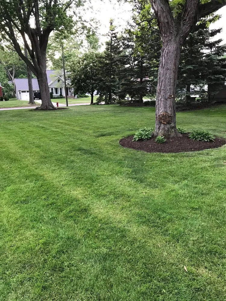 Local landscaping services for beautiful yards in Painesville, OH by Mulch Man Landscape