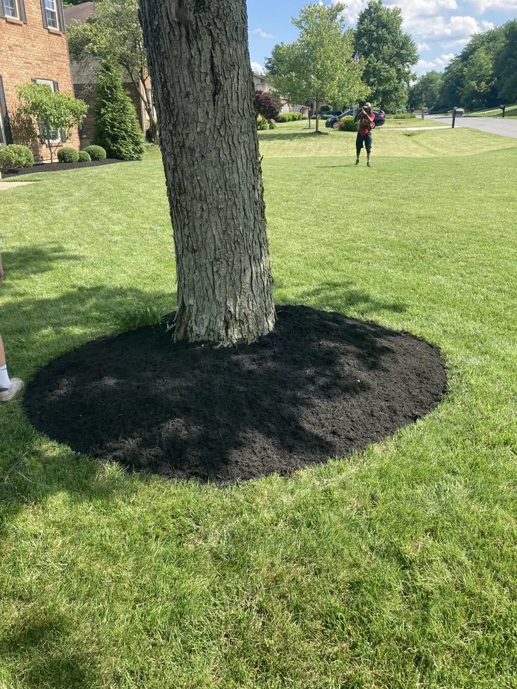 Top-rated garden landscaping for homes in Hamilton, OH by Mulch Man Landscaping