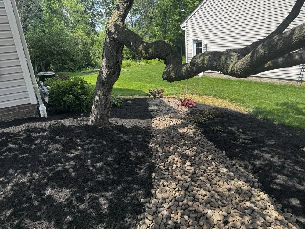 Trusted yard cleanup service in Northfield, OH by Mulch Man