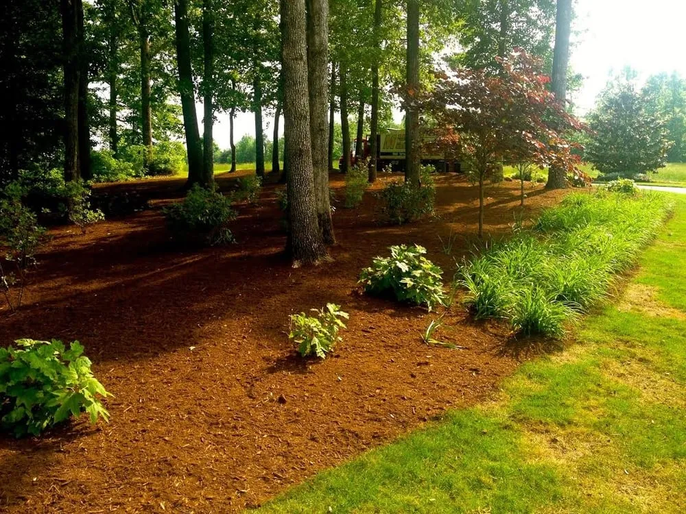 Local yard cleanup service experts serving Greenville, SC - Mulch Mart of Powdersville