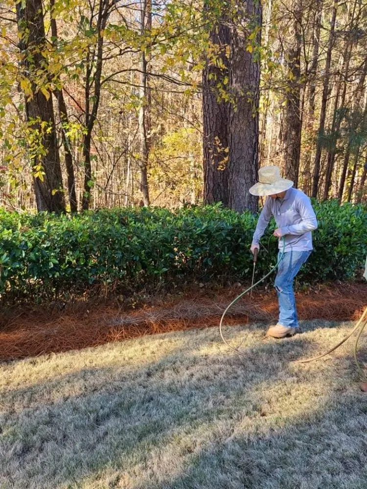 Expert landscape design for beautiful yards across Cleveland, TN - Mulch Master Spray Solutions
