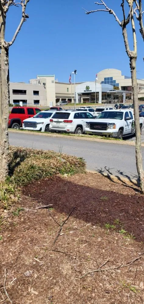 Reliable yard cleanup service for homes across Cleveland, TN - Mulch Master Spray Solutions