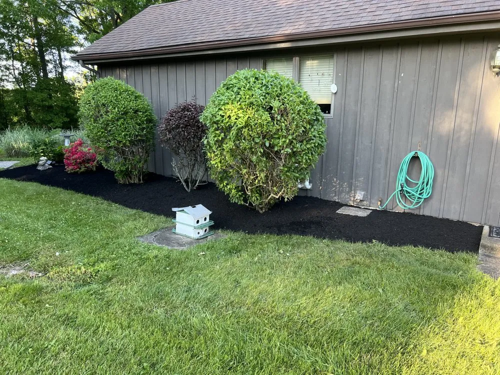 Local yard cleanup service for year-round maintenance across Buffalo, NY - Mulch Masters