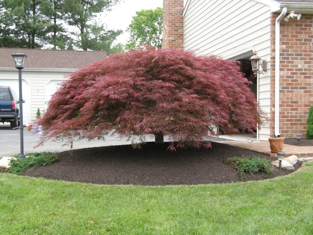Affordable outdoor landscaping in Kingsville, MD by Mulch Masters