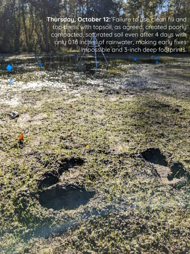 Custom yard maintenance for outdoor upgrades across Clarence Center, NY - Mulch Mogul Landscaping