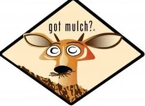 Custom landscape installation in Williamsburg, VA - Mulch 'n' More Professionals