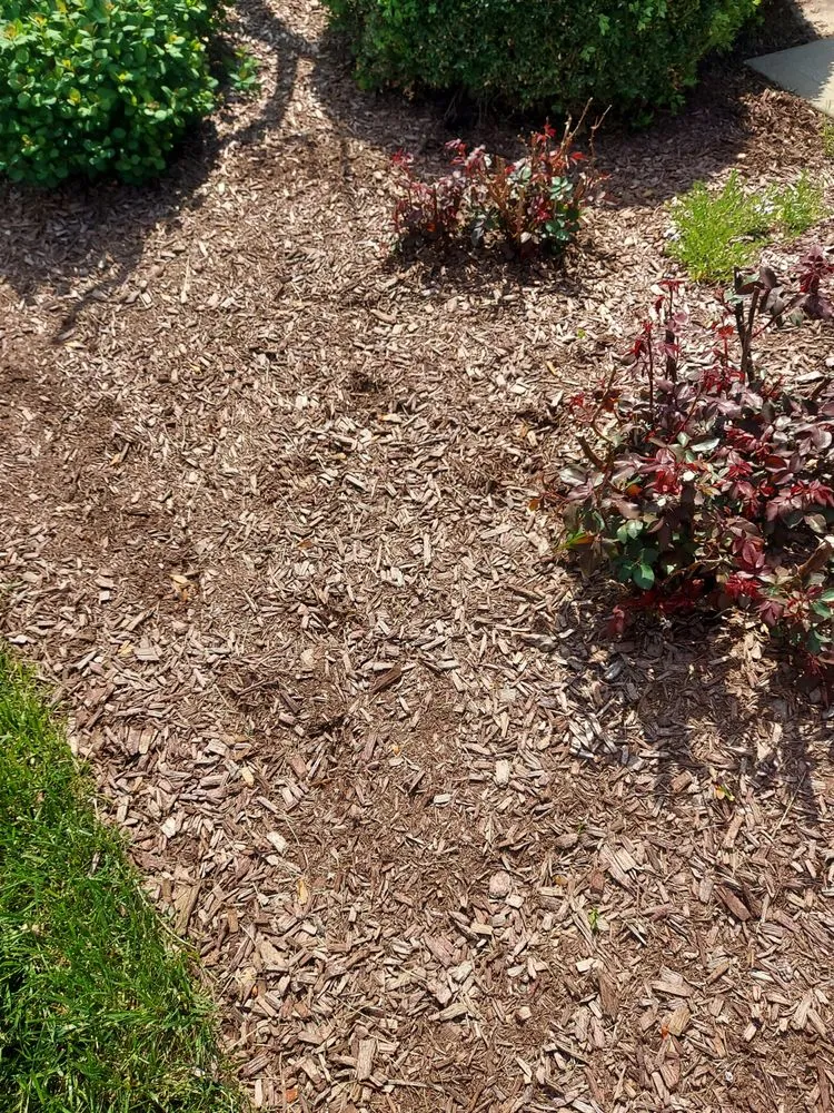 Custom lawn care service experts serving Grandview, MO - Mulch Smart