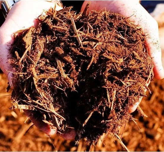 Top-rated yard cleanup service for year-round maintenance in Grandview, MO by Mulch Smart