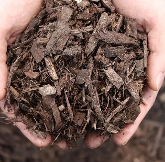 Expert outdoor landscaping experts serving Grandview, MO - Mulch Smart
