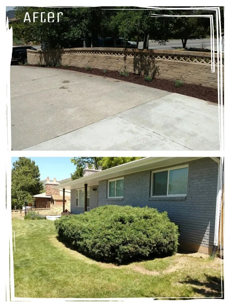 Affordable lawn care service for homes across Salt Lake City, UT - Mulch Utah