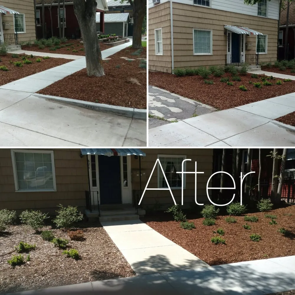 Expert yard cleanup service in Salt Lake City, UT by Mulch Utah