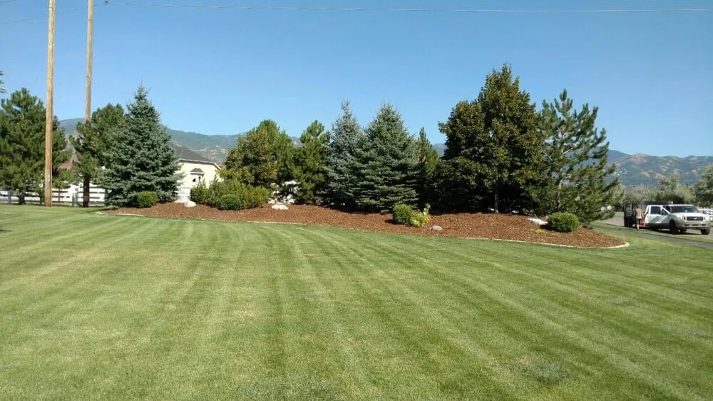 Trusted landscape installation in Salt Lake City, UT - Mulch Utah
