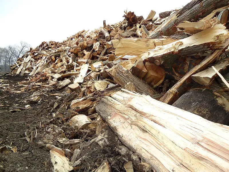 Expert lawn mowing service in Aston, PA by Mulch Works Recycling