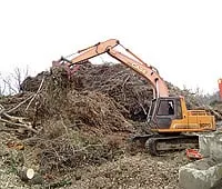 Professional outdoor landscaping in Aston, PA - Mulch Works Recycling