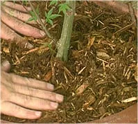 Custom outdoor landscaping for outdoor upgrades in Aston, PA by Mulch Works Recycling