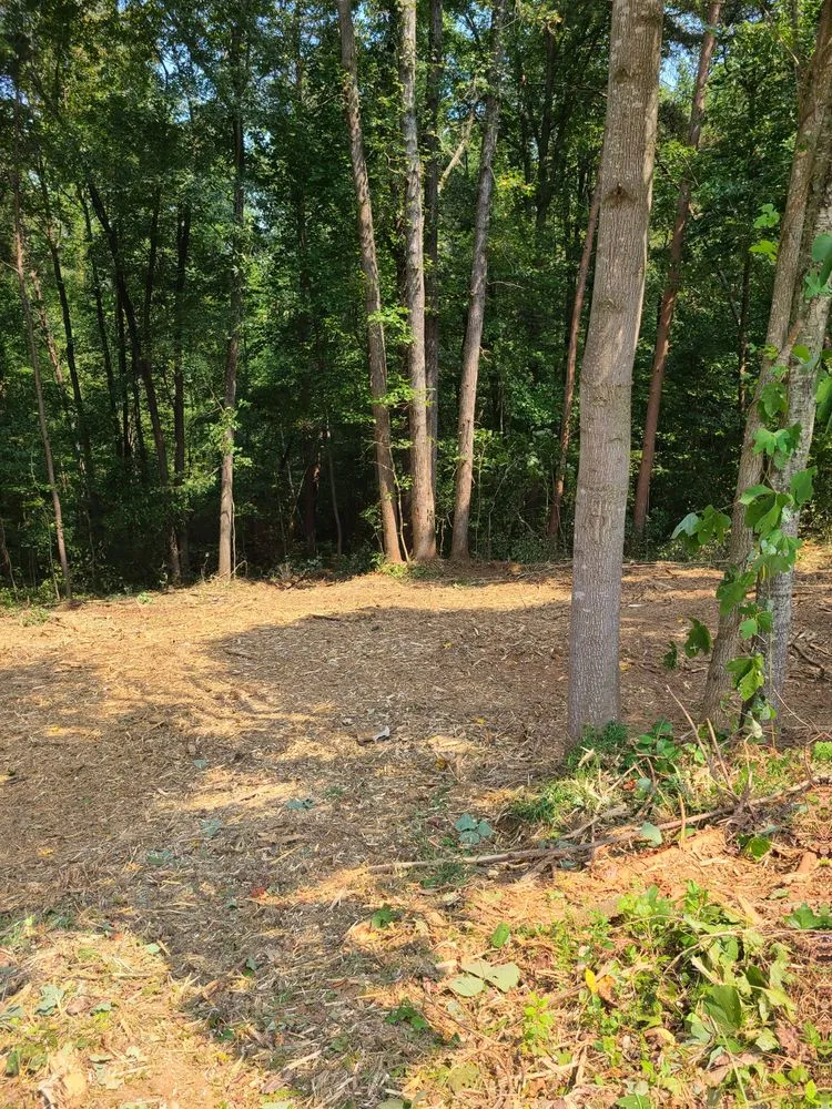 Top-rated yard maintenance for outdoor upgrades across Cornelia, GA - Mulching Solutions NEGA