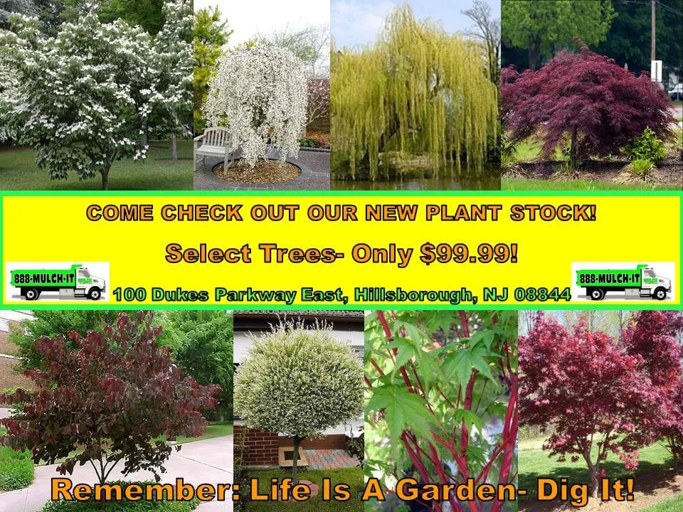 Affordable outdoor landscaping near you in Hillsborough, NJ by MulchSupply.com