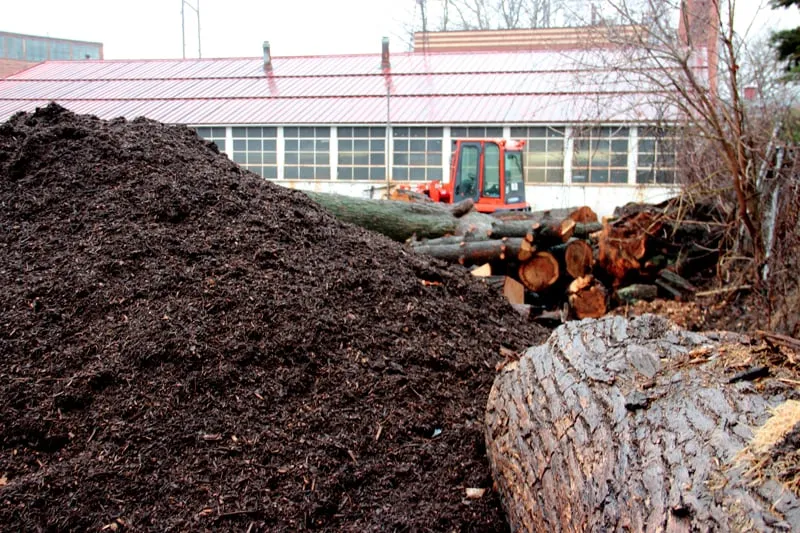 Custom lawn mowing service near you in Wyncote, PA by MulchyMulch