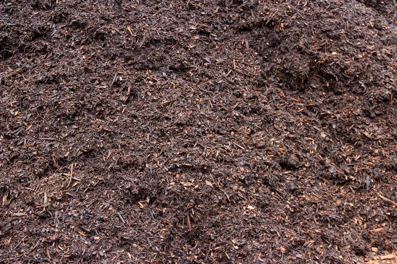 Professional landscaping services experts serving Wyncote, PA - MulchyMulch