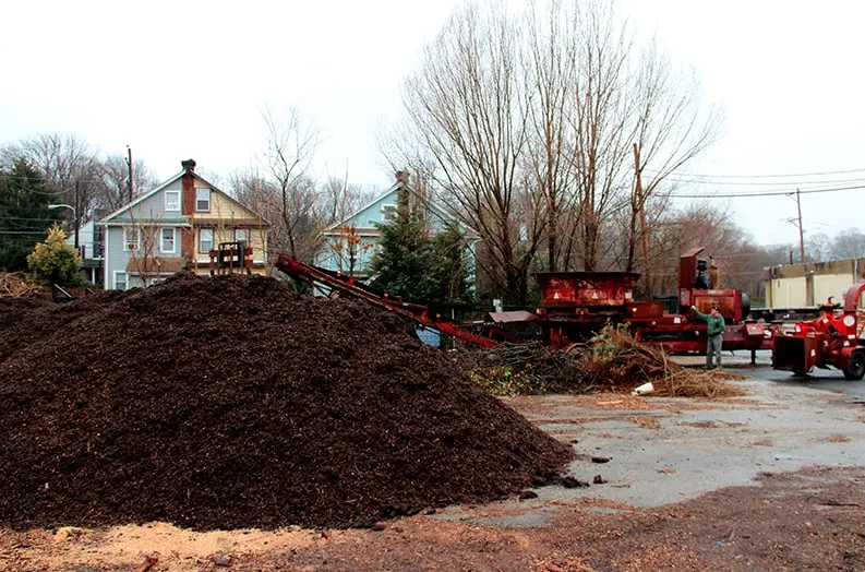 Professional landscaping services for outdoor upgrades across Wyncote, PA - MulchyMulch