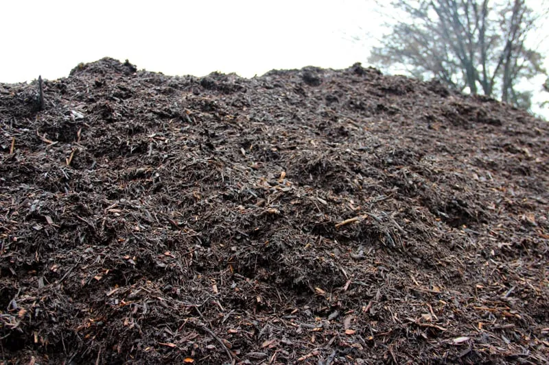 Professional landscaping services near you across Wyncote, PA - MulchyMulch