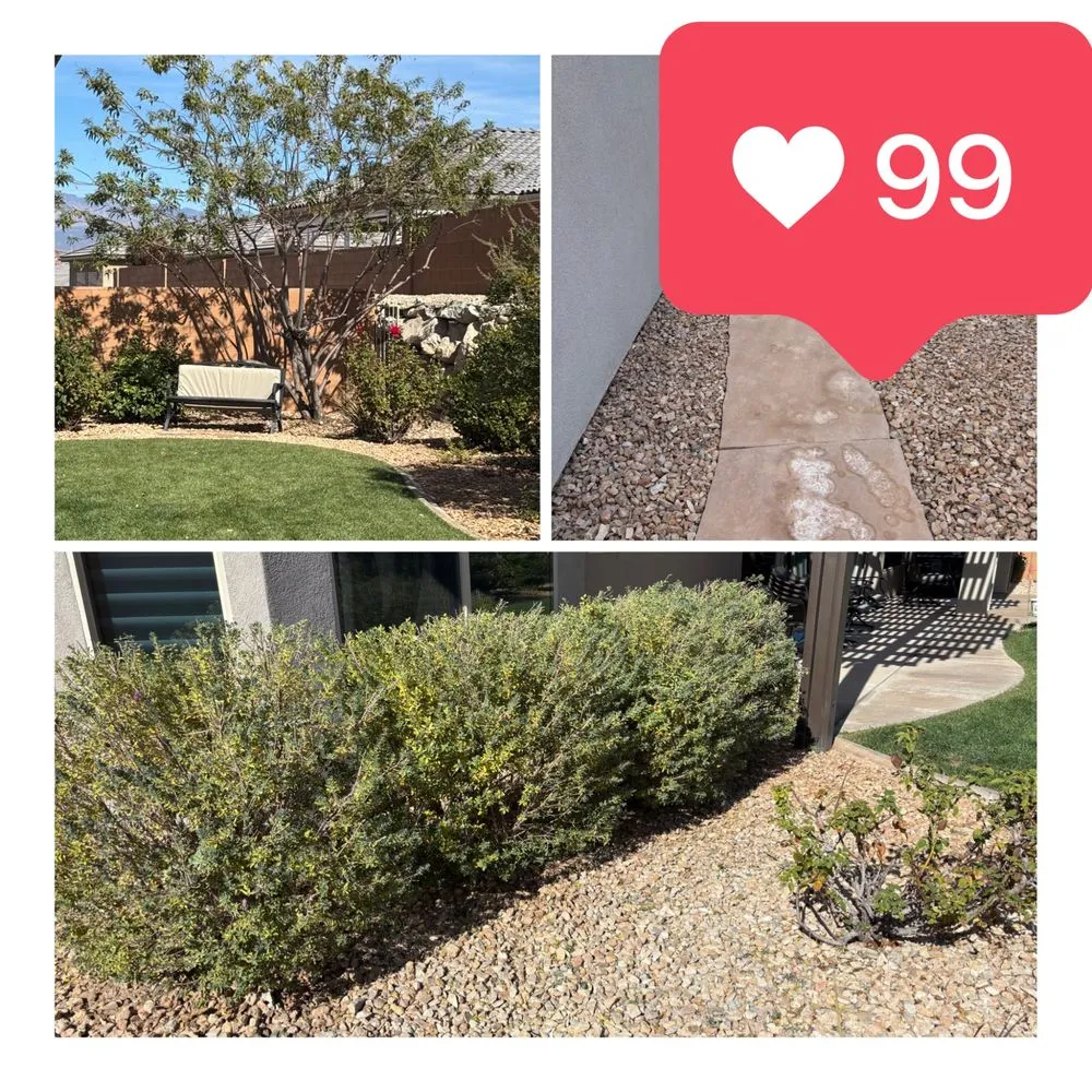Trusted lawn mowing service for beautiful yards across St. George, UT - Mulderig Landscaping