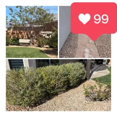 Mulderig Landscaping Logo