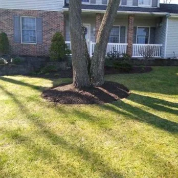 Reliable yard maintenance in Cincinnati, OH - Muldoon Lawn care