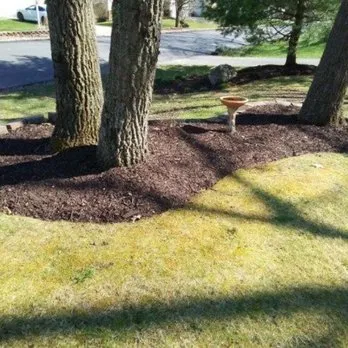 Reliable yard maintenance for residential properties across Cincinnati, OH - Muldoon Lawn care