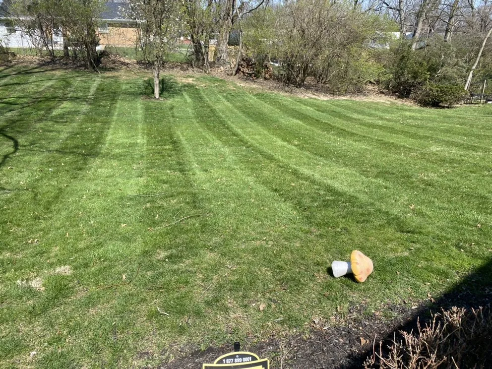 Professional yard maintenance in Cincinnati, OH - Muldoon Lawn care