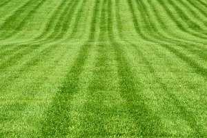 Affordable residential landscaping for outdoor upgrades across Cincinnati, OH - Muldoon Lawn care