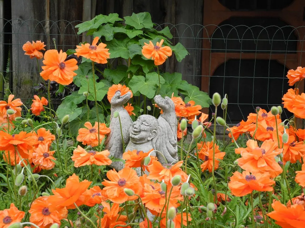 Custom landscape design in Morgantown, WV - Mulkeen Landscaping & Tree Service