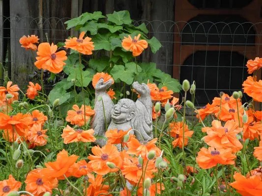 Mulkeen Landscaping & Tree Service Logo