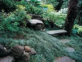 Local yard cleanup service in Honolulu, HI by Mulkern Landscaping & Nursery