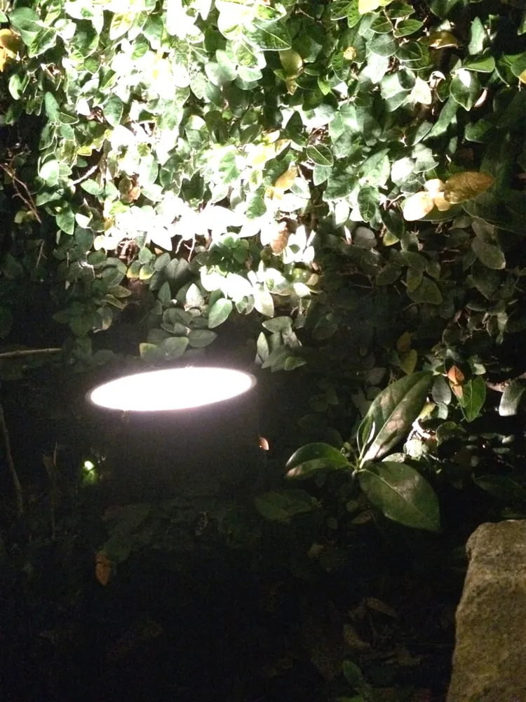 Affordable landscaping services in Honolulu, HI by Mulkern Landscaping & Nursery