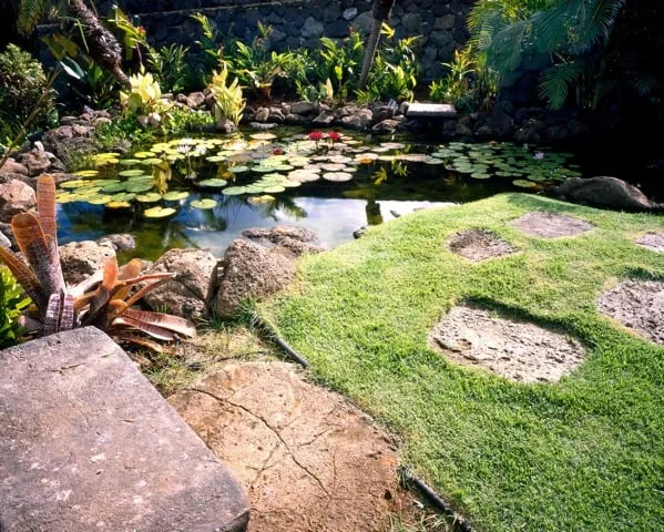 Top-rated outdoor landscaping with custom design in Honolulu, HI by Mulkern Landscaping & Nursery