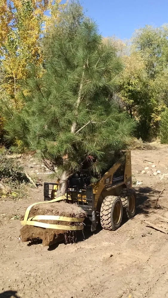 Trusted lawn mowing service in Nampa, ID by Mullen Landscaping