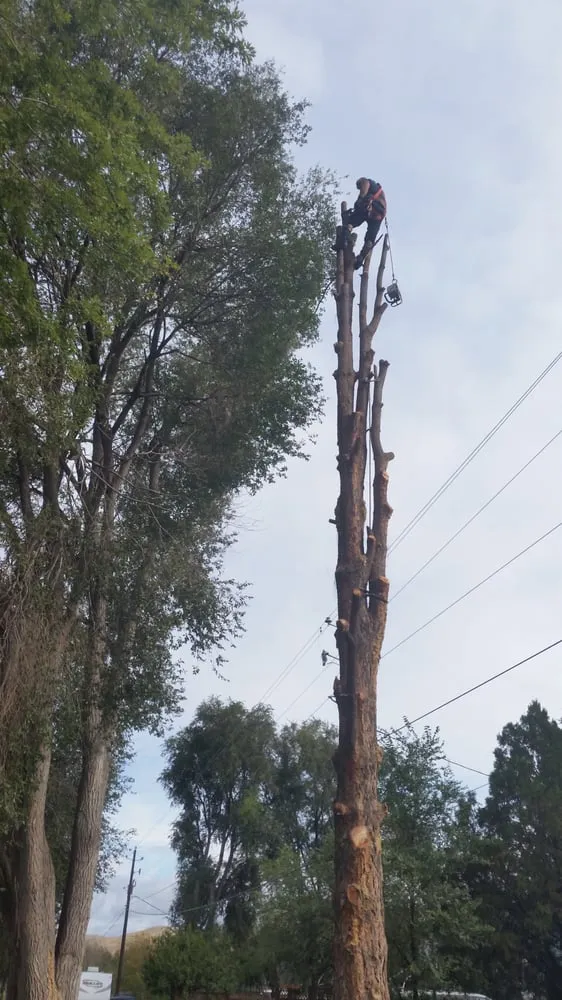 Trusted landscape installation in Nampa, ID by Mullen Landscaping