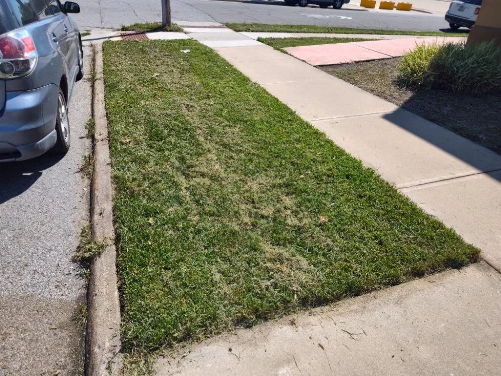 Affordable landscape design for outdoor upgrades in Mason City, IA by Mullet Lawncare