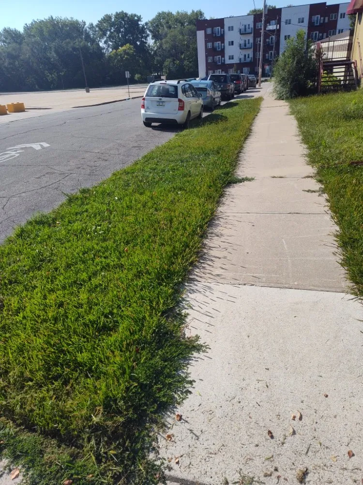 Local yard cleanup service in Mason City, IA - Mullet Lawncare